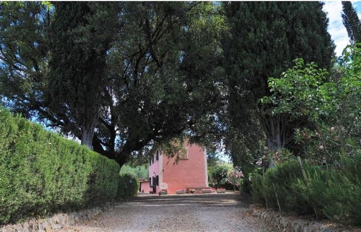 Podere Il Leccione Palaia Dış mekan fotoğraf